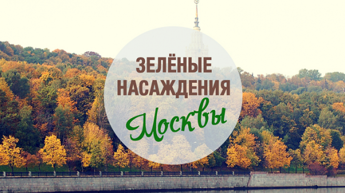 Зеленые насаждения Москвы